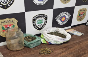 Dupla flagrada pela GCM com tetraidrocanabinol tem prisão confirmada pela Polícia Civil